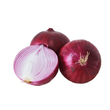 Best selling high quality products types fresh red onions factory price